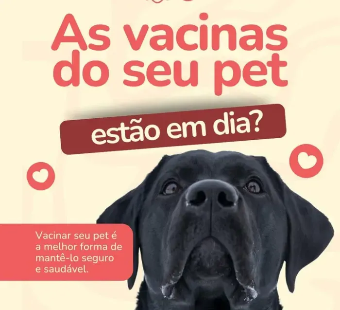 Carol Pet's, foto 2 de 4