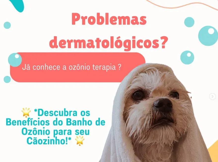 Carol Pet's, foto 3 de 4