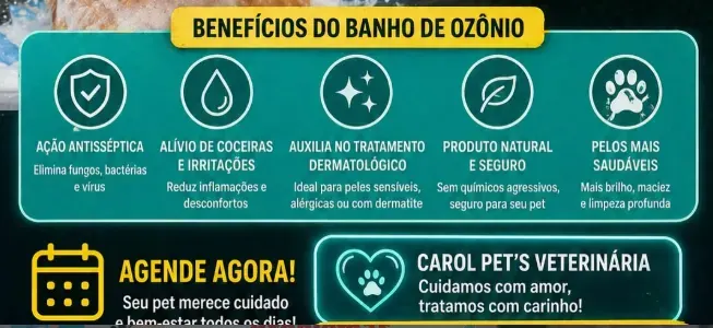 Carol Pet's, foto 4 de 4