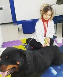 Fisio Care Pet — Campo Limpo Paulista
